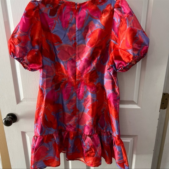 Hutch Pink and Red Floral Mini Dress - Picture 4 of 13